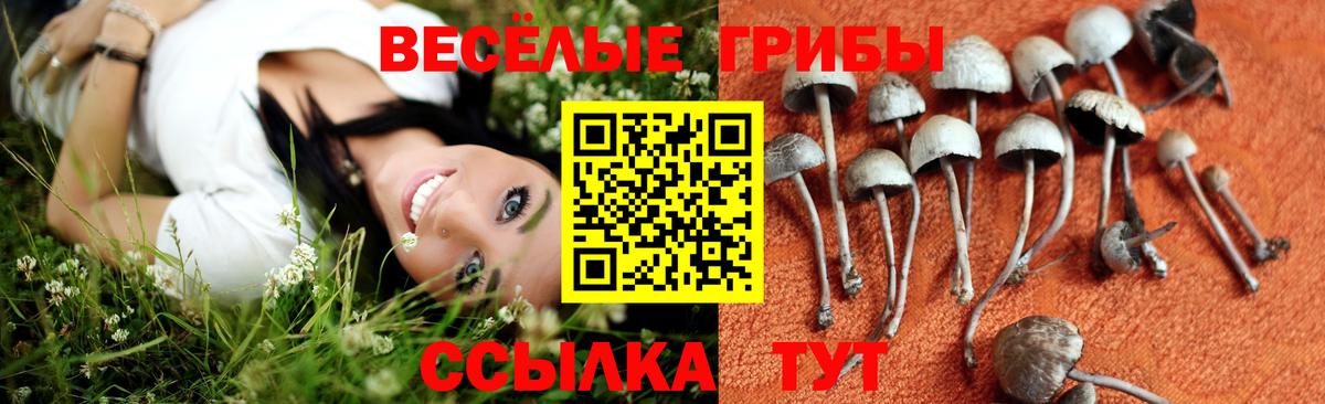 Галлюциногенные грибы ЛСД  Вход с VPN  Псилоцибиновые грибы прущие грибы  Ханты-Мансийск 